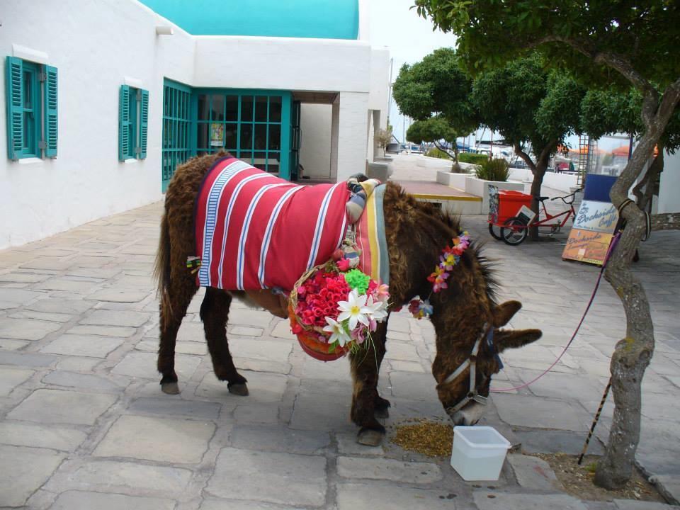 Mykonos Holidays @ Club Mykonos Langebaan Εξωτερικό φωτογραφία